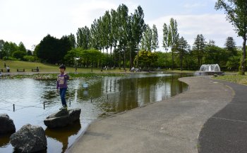 彩の森入間公園 上池
